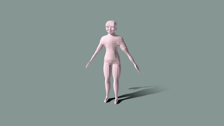 Human Update 3D Model