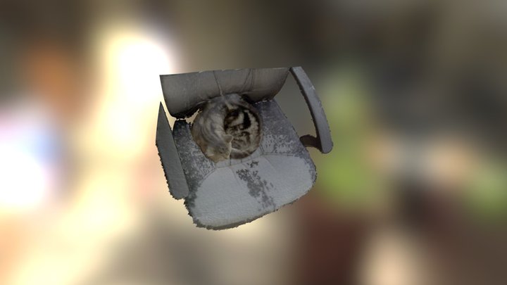 My Supercat on my seat 3D Model