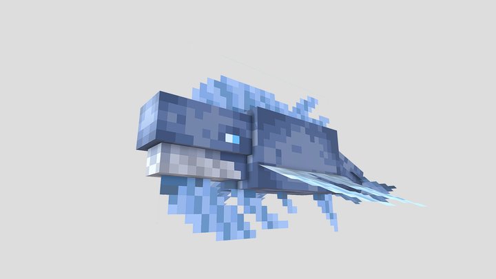 Shock Whale 3D Model