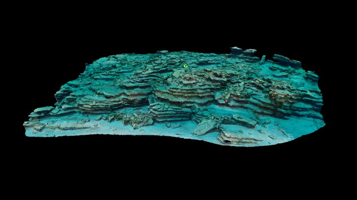 Shallow rocky reef, NW coast of Crete 3D Model
