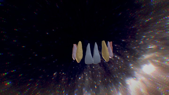 Tooth Segmentation. #4,5,6,8,9,11,12,13 3D Model