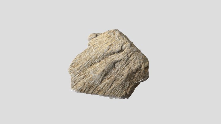 Shatter cone (Steinheim, Germany) 3D Model