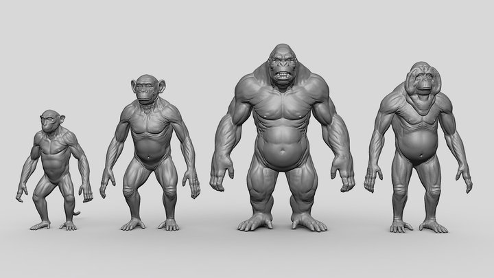 Primate Pack( Monkey, Chimp, Gorilla, Orangutan) 3D Model