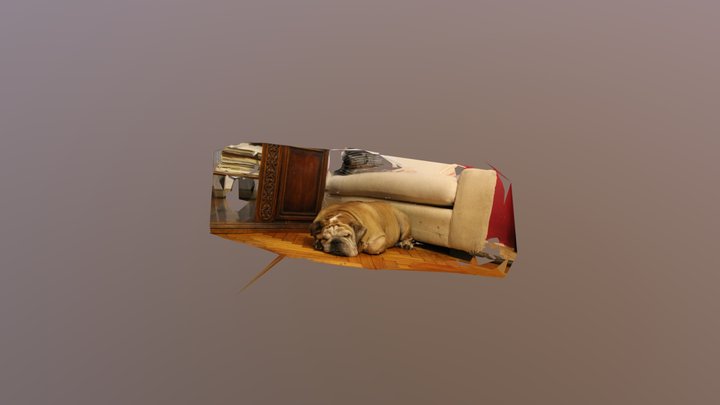 Cacho 3D Model