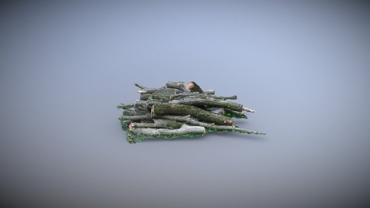 Log Pile - 3D Model - Photogrammetry 3D Model