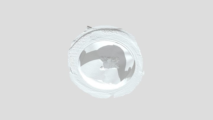 Cat With Colour 3D Model