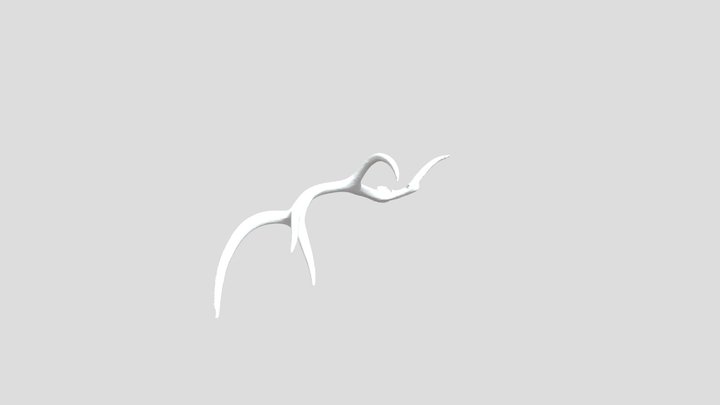 red deer 3D Model