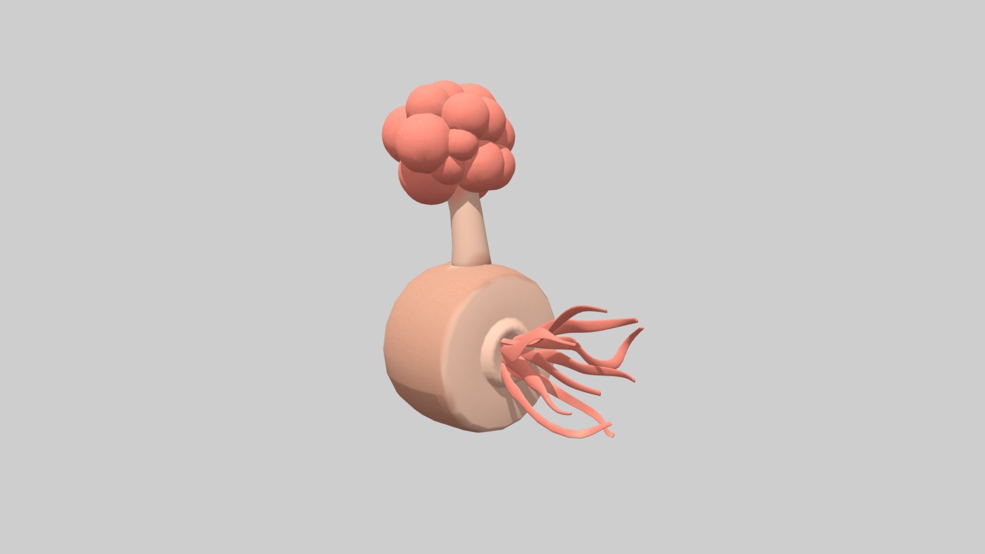 PlumbusX - 3D model by hydra850229 [7f6ef31] - Sketchfab