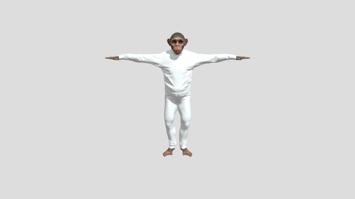 ape monkey in sport suit 3D Model