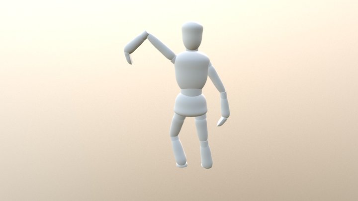 Ragdoll