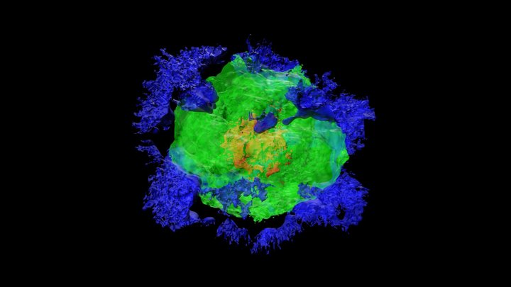 N100 supernova: composition 3D Model