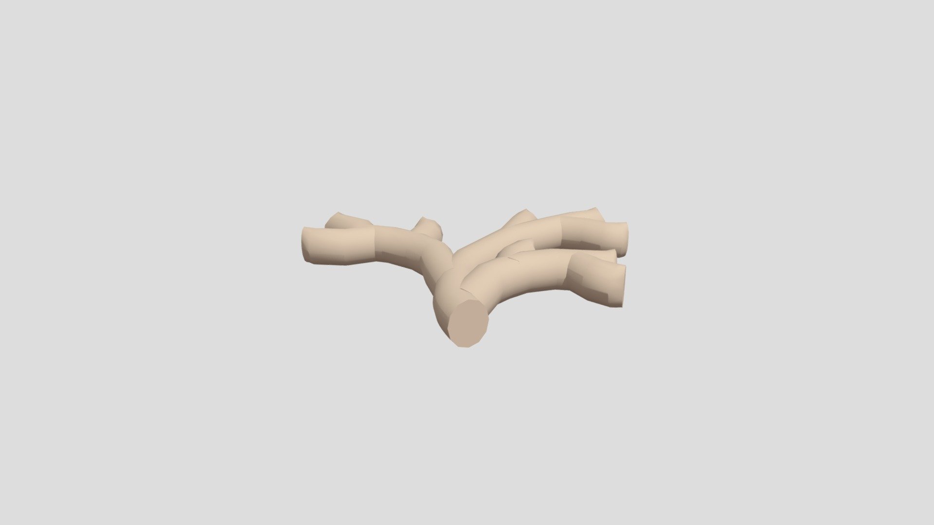 Ginger root from Poly by Google