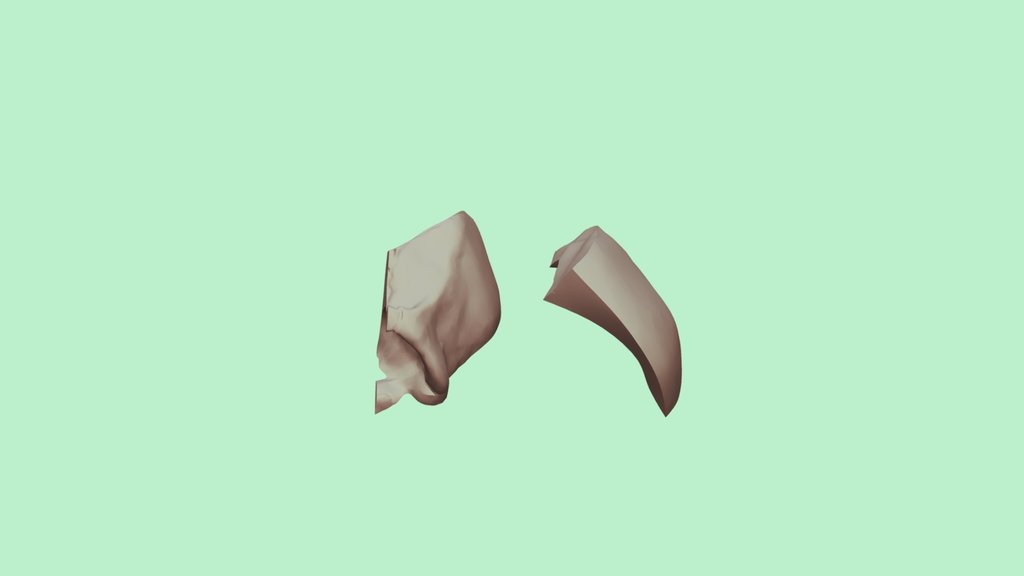 Lebka neandertalca