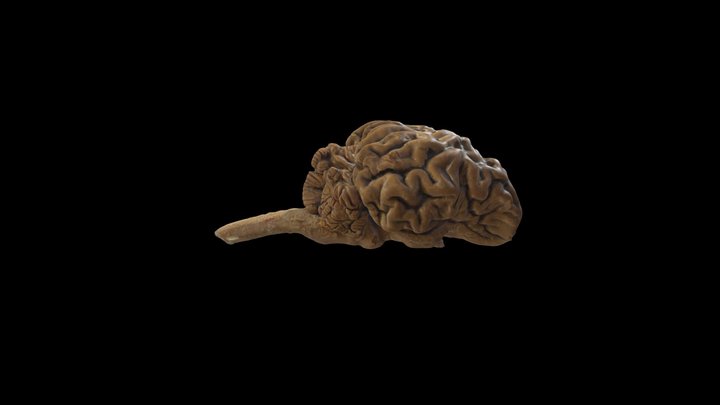 2025-01-16 3D Model