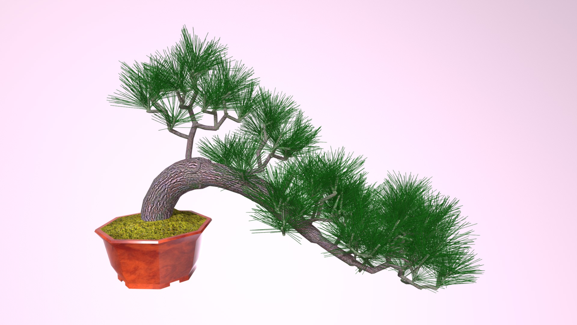 3D model Semi Cascade - This is a 3D model of the Semi Cascade. The 3D model is about a potted tree with a plant in it.