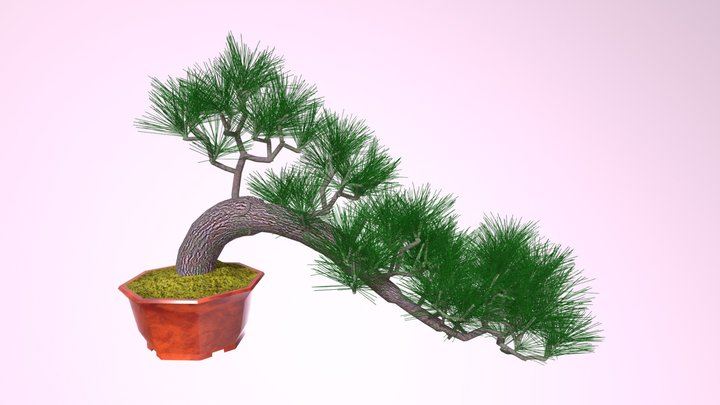 Semi Cascade 3D Model