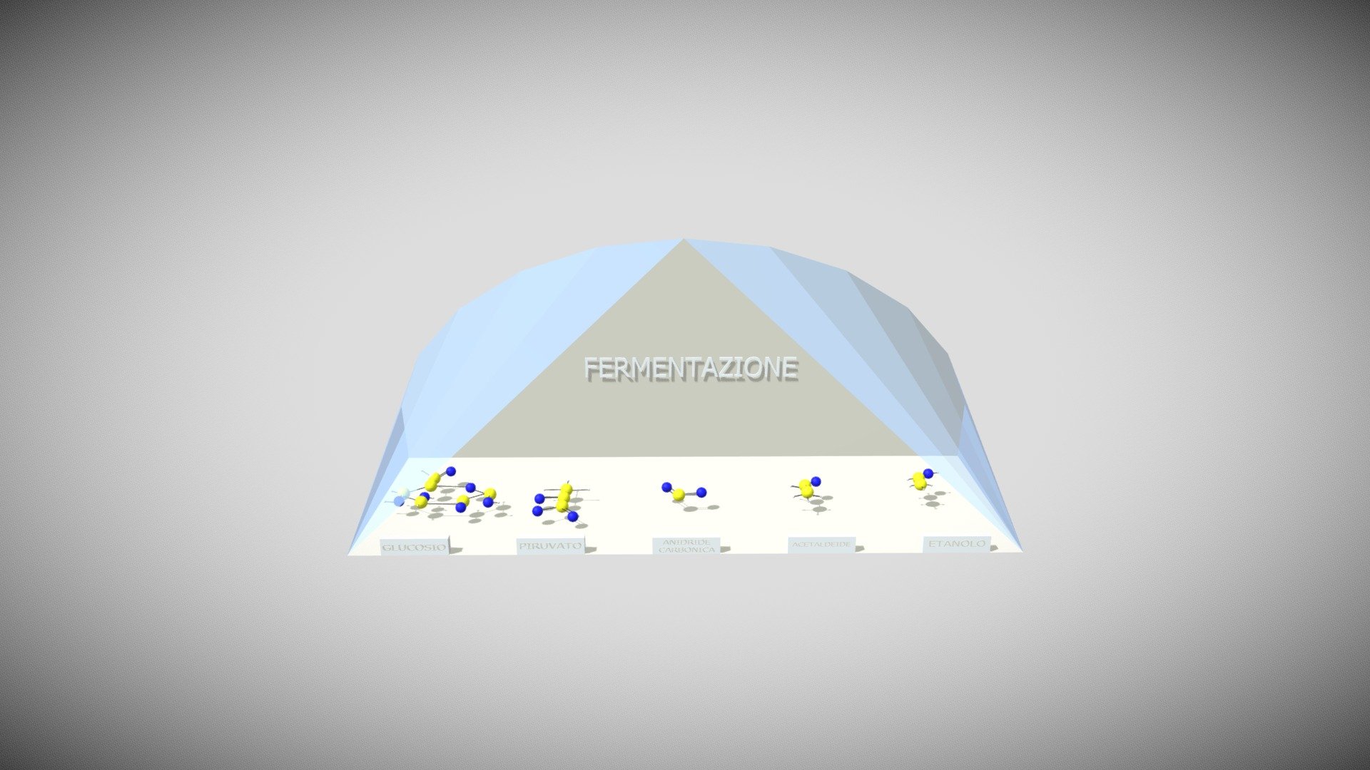 STANZA FERMENTAZIONE