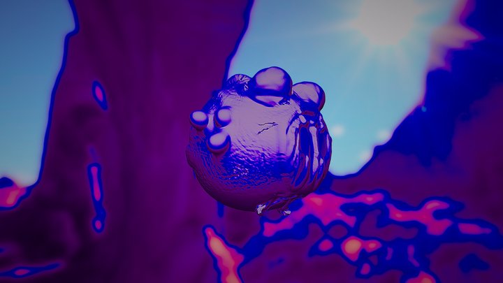 Seapig 3D Model