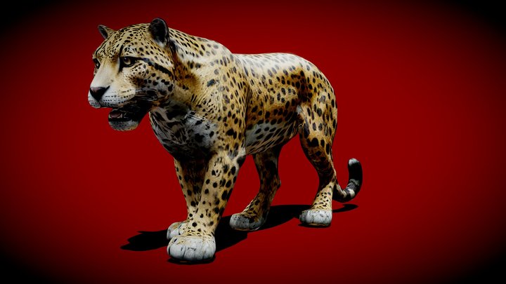 VKontakte video onalar porno