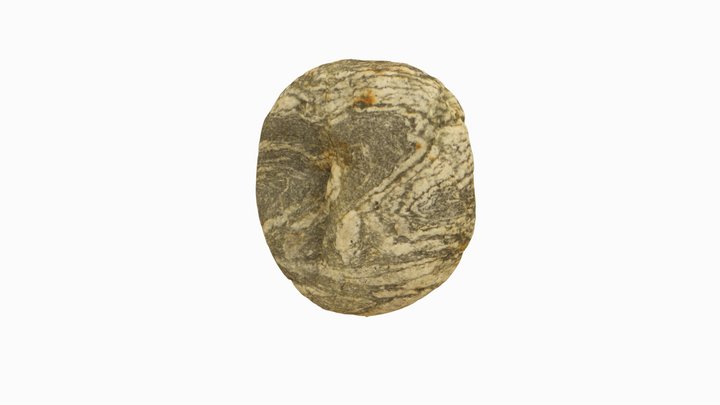 Migmatite 3D Model