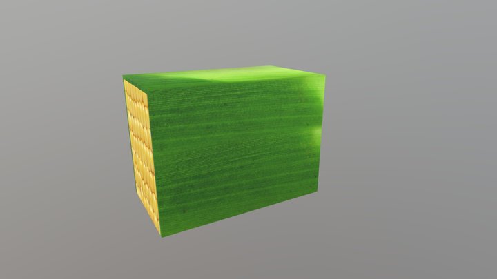 [R55]Corn@CARTONA 3D Model