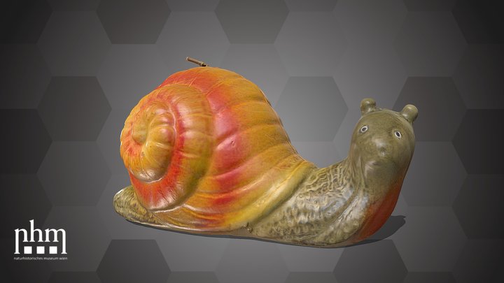 Snail candle (NHMW-ZOO-MO-0081100-ETH-043)