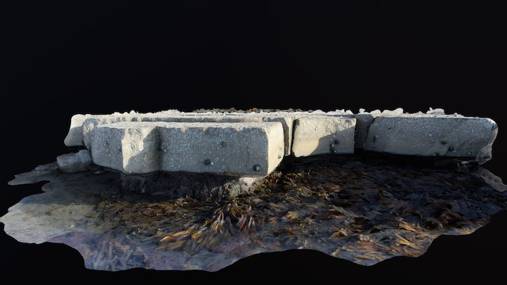 Intertidal Rocky Outcrop 3D Model