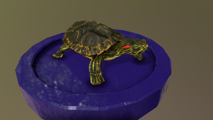 Turtle Project 3D Model