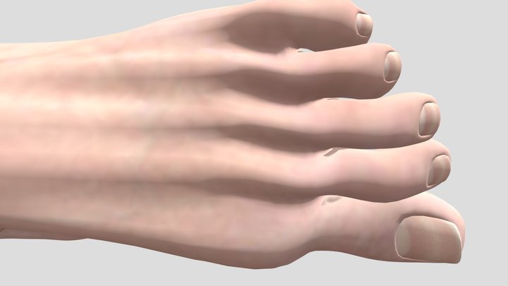 quicklook-3D7C47B0-67D3-4D5D-91D2-B27EC0079D84 3D Model