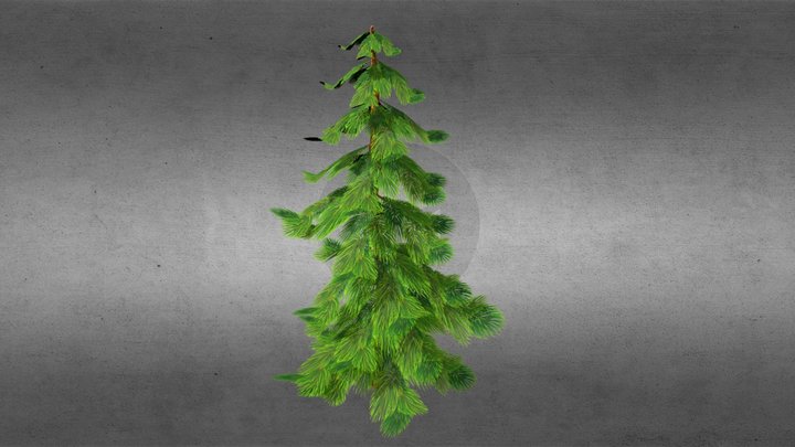 Stylized Pine Tree 3D Model