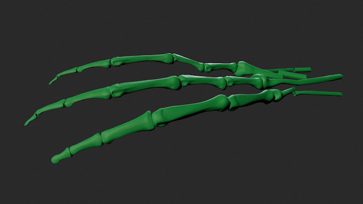 Alien's Hand with 3 fingers 3D Model