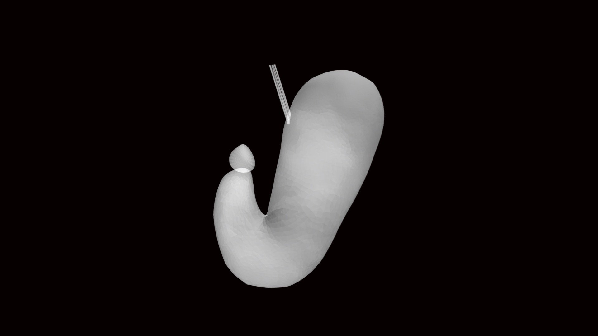 stomach_fook