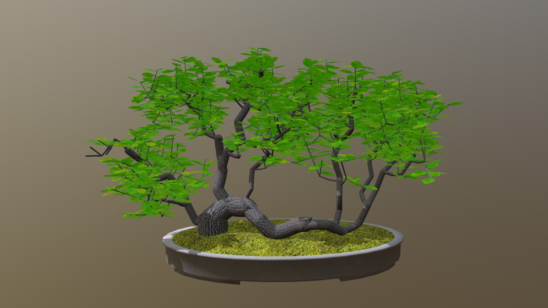 3D model Raft - This is a 3D model of the Raft. The 3D model is about a tree with a small bonsai tree on a plate.