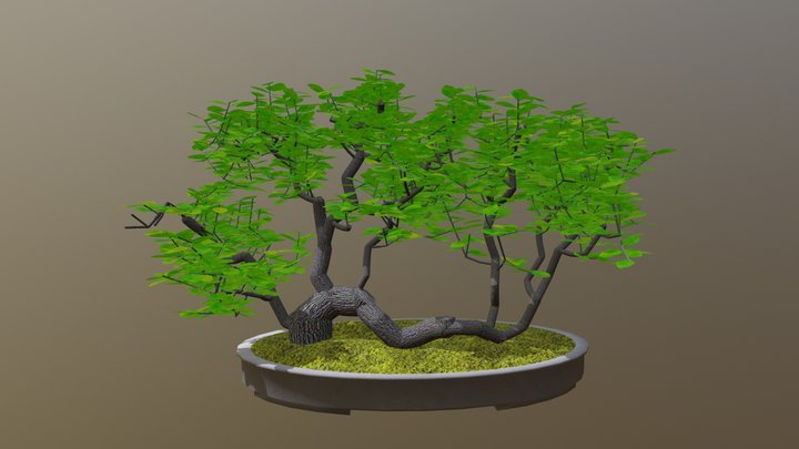 Raft 3D Model