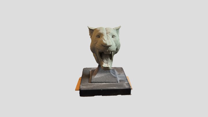 Reality scan test 3D Model