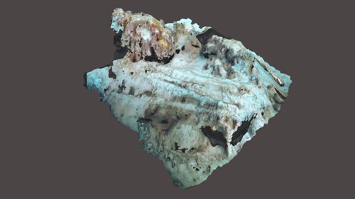 Coral Bay Shipwreck 1 - Muskets 3D Model