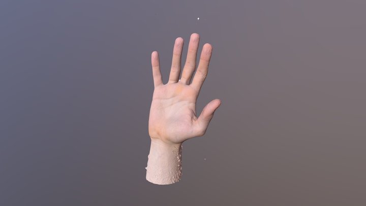 3D scan Hand 3D Model