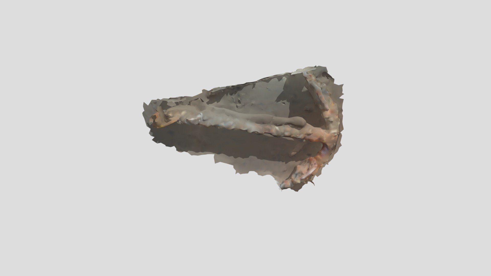 Maria Bray Anchor