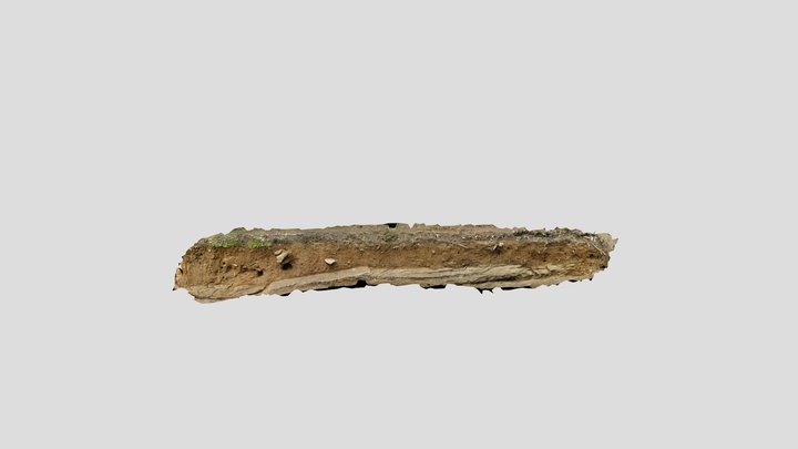 Panola Trench Wall 3D Model