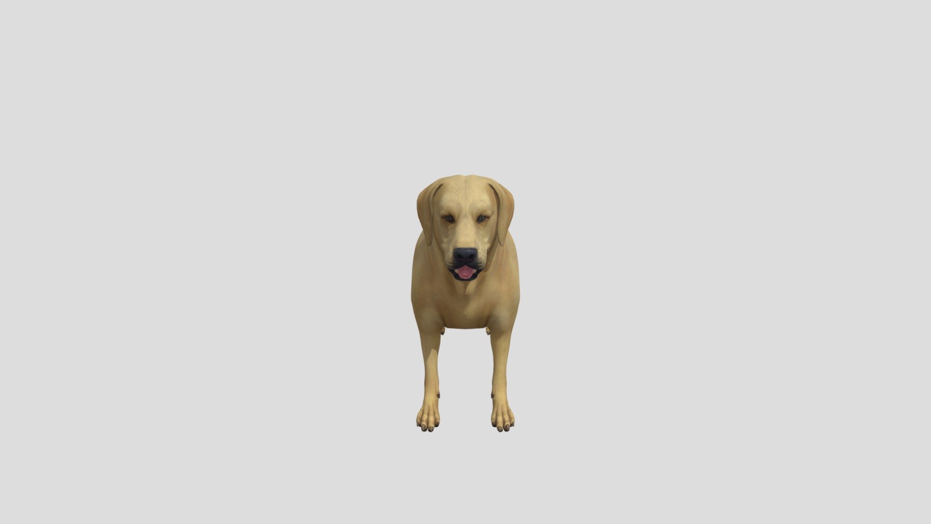 Perro - 3D model by carina_mf (@catina_mf) [7fba677] - Sketchfab