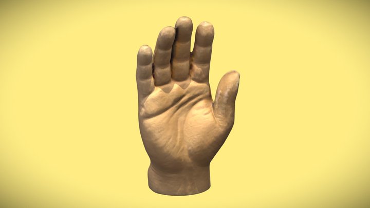 Toy Hand Scan 3D Model