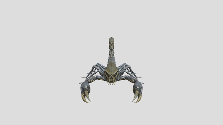 Scorpion with reaper skull 3D Model