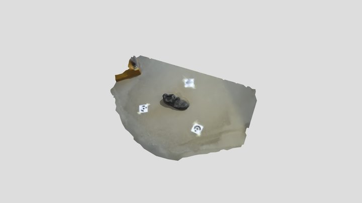 Ayakkabi Modelleme 3D Model