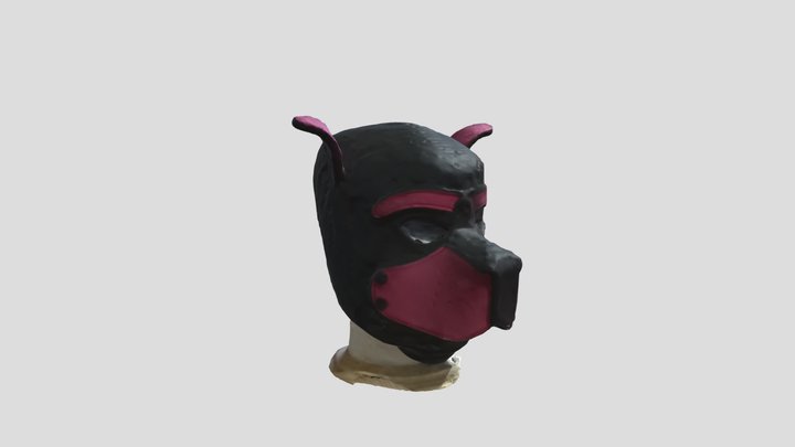 Pup Hood 3D Model