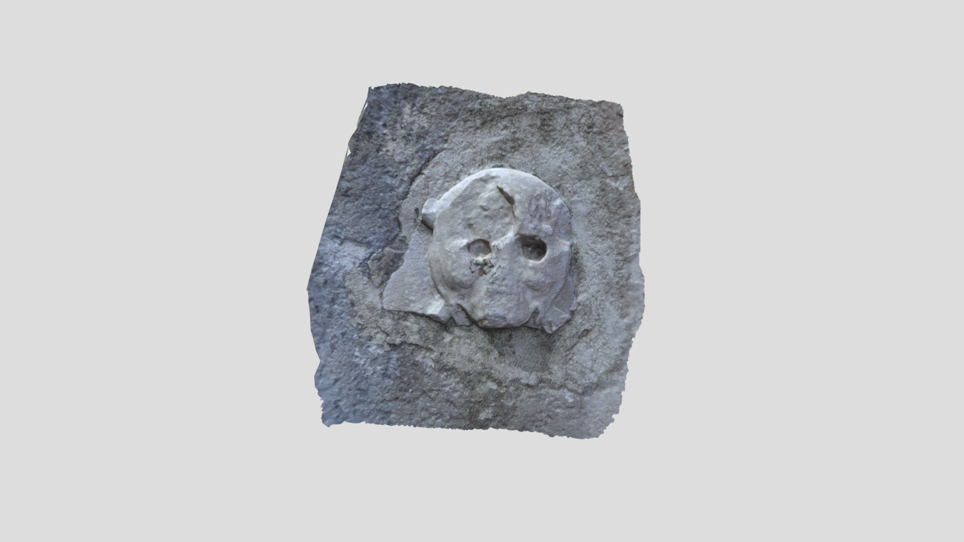 Teschio Lavis