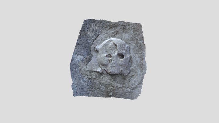 Teschio Lavis 3D Model