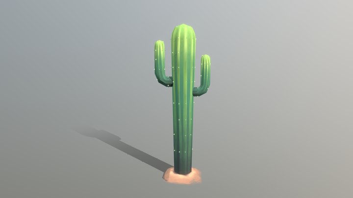 Low Poly Cactus 3D Model