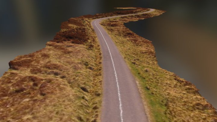 Old Military Road 3D Model