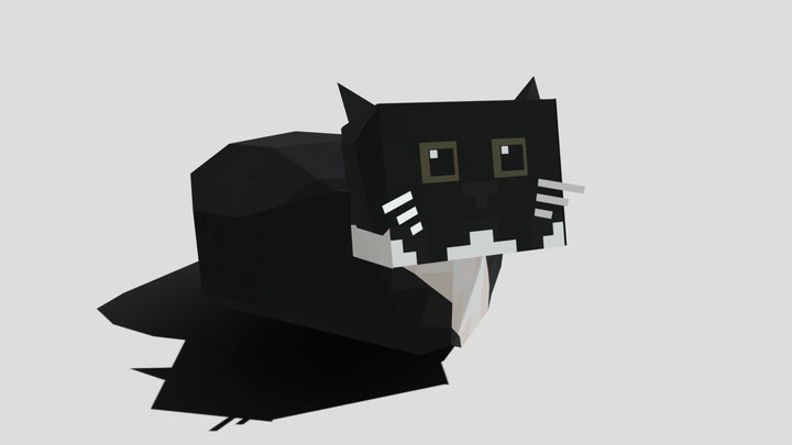 cat Maxwell 3D Model