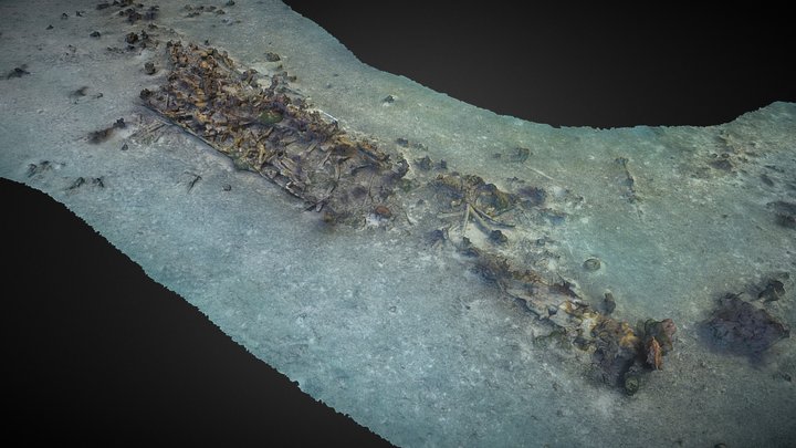 Bird Key Wreck 3D Model